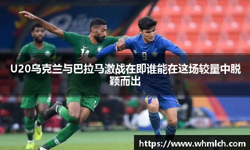 优游国际