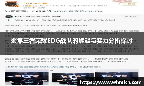 聚焦王者荣耀EDG战队的崛起与实力分析探讨