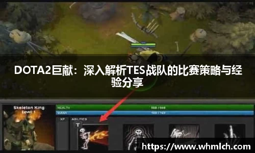 DOTA2巨献：深入解析TES战队的比赛策略与经验分享